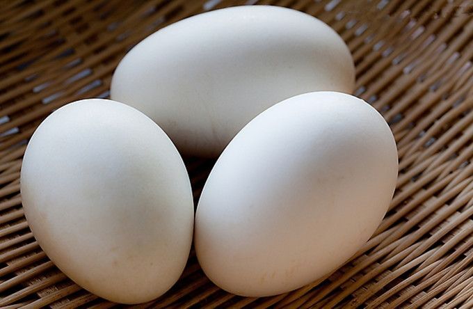 乐山鲜鹅蛋 食用 散装 