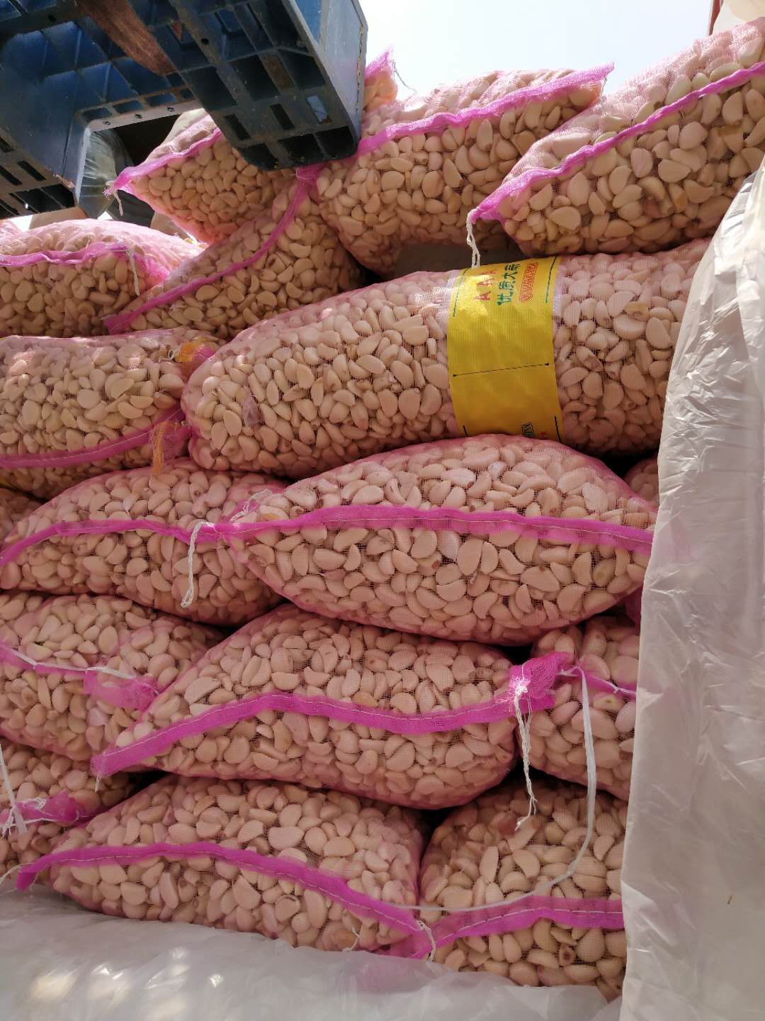 金乡大蒜 混级统货 多瓣蒜 