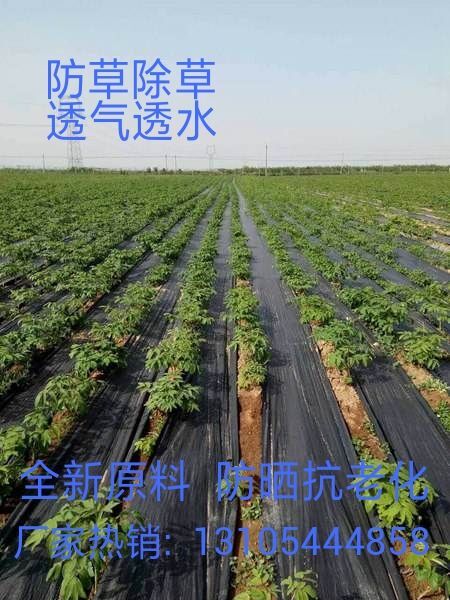 德州防草布除草布地布