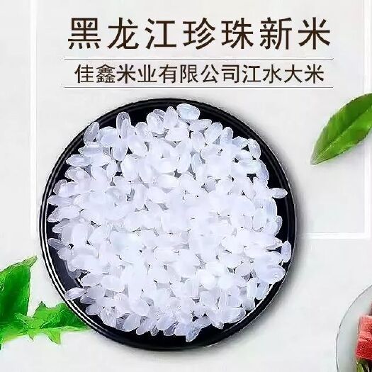 绥滨县东北大米 一等品 一季稻 粳米 