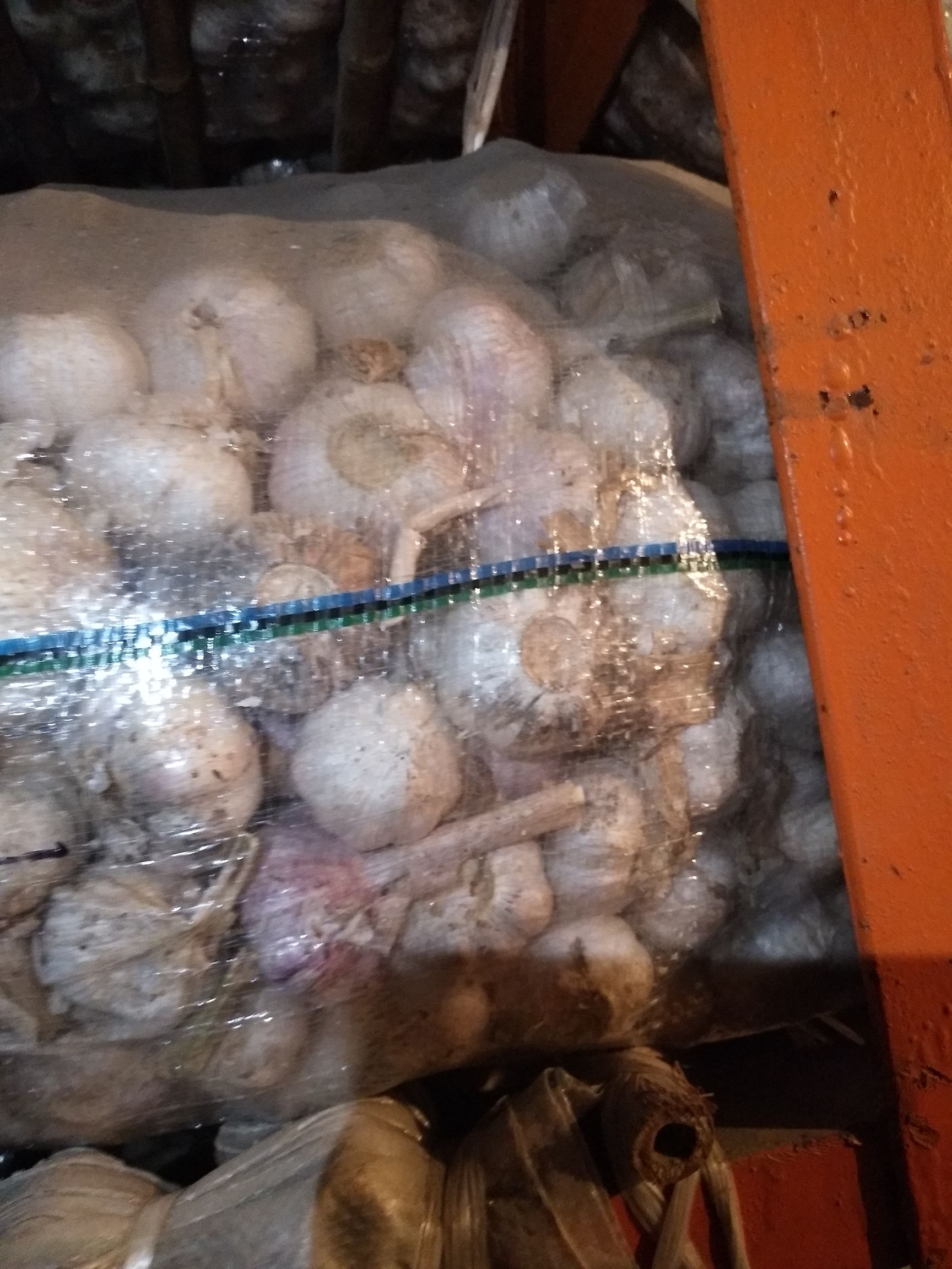 金乡大蒜 混级统货 多瓣蒜 