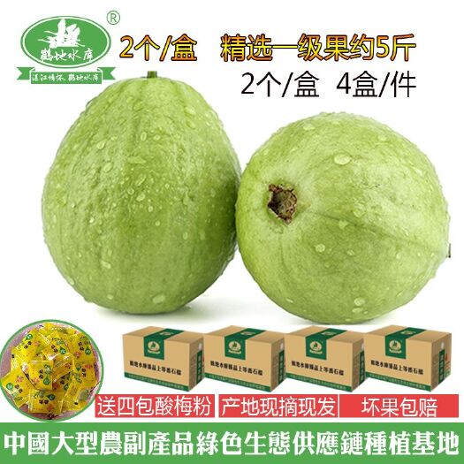 廉江市珍珠番石榴 250-300克 