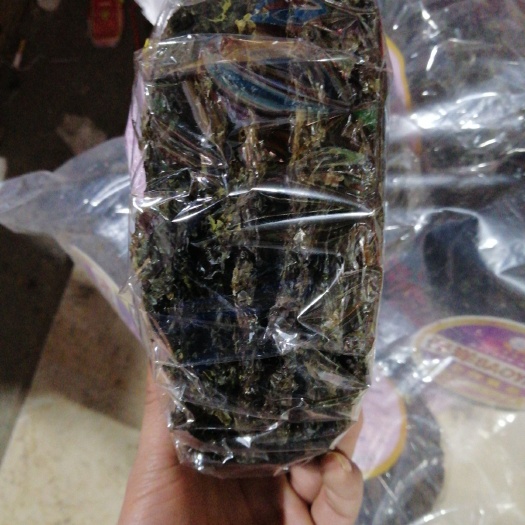 烟台紫菜 