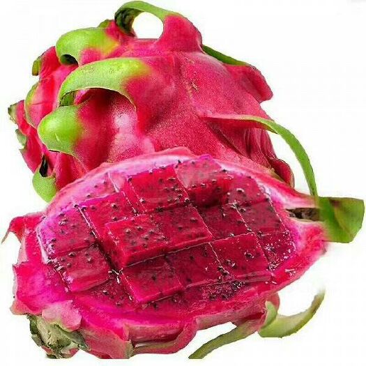 灵山县红心火龙果苗