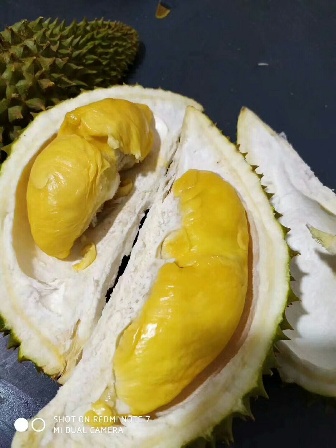 泰国猫山托曼尼榴莲 肉黄软糯香甜 1.5-6斤 单果包3房