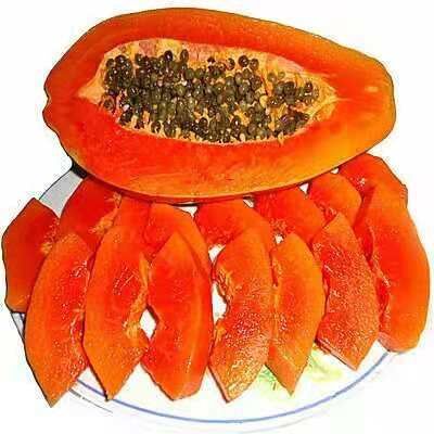 灵山县红心木瓜苗  