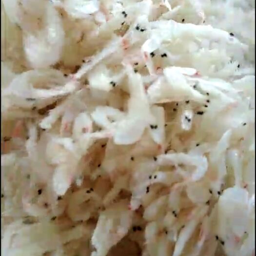 烟台虾皮