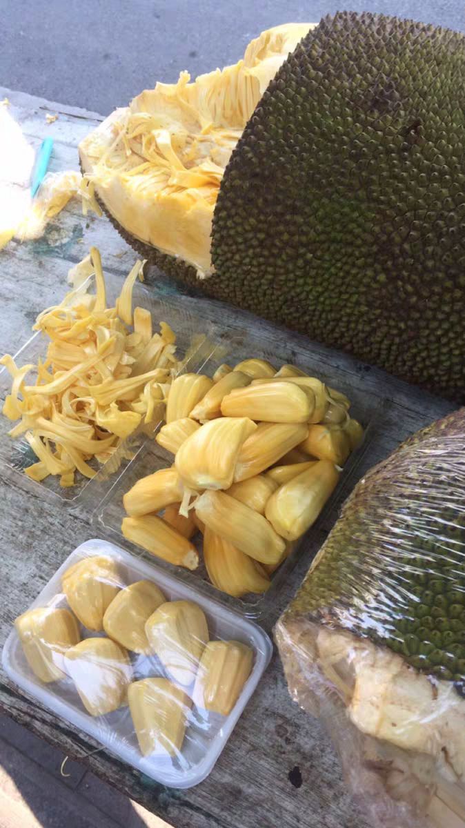  海南菠萝蜜黄肉100斤起批