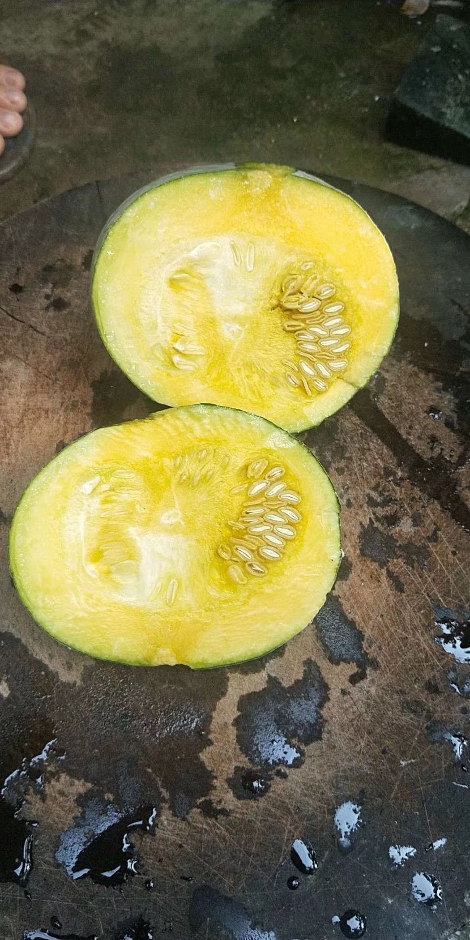 银栗南瓜 混装通货 