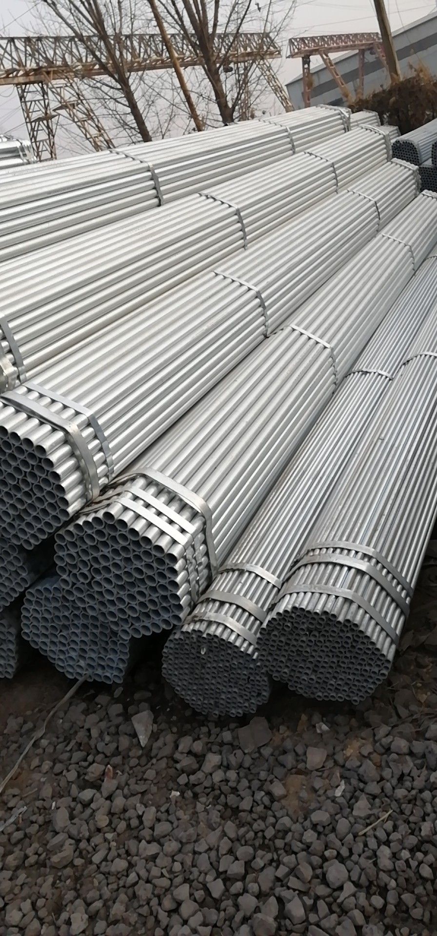 文洛式温室大棚 玻璃温室大棚 育苗大棚 智能温室大棚