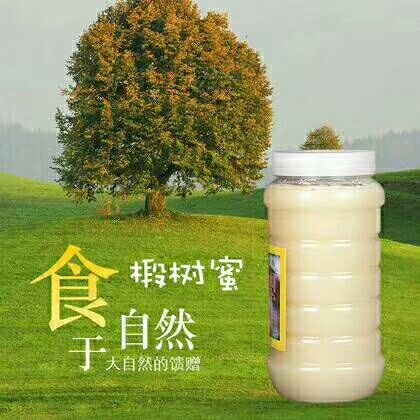 长葛市蜂蜜椴树蜜味道纯正蜂农自产冬天易结晶