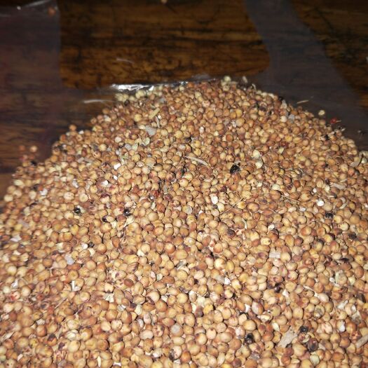 蒙城县红茅6号 1等品 霉变 ≤1% 