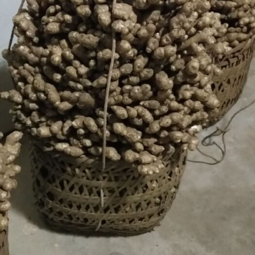 蓬安县大黄姜 6两以上 带土 