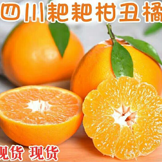 眉山耙耙柑 7.5 - 8cm 4两以上 