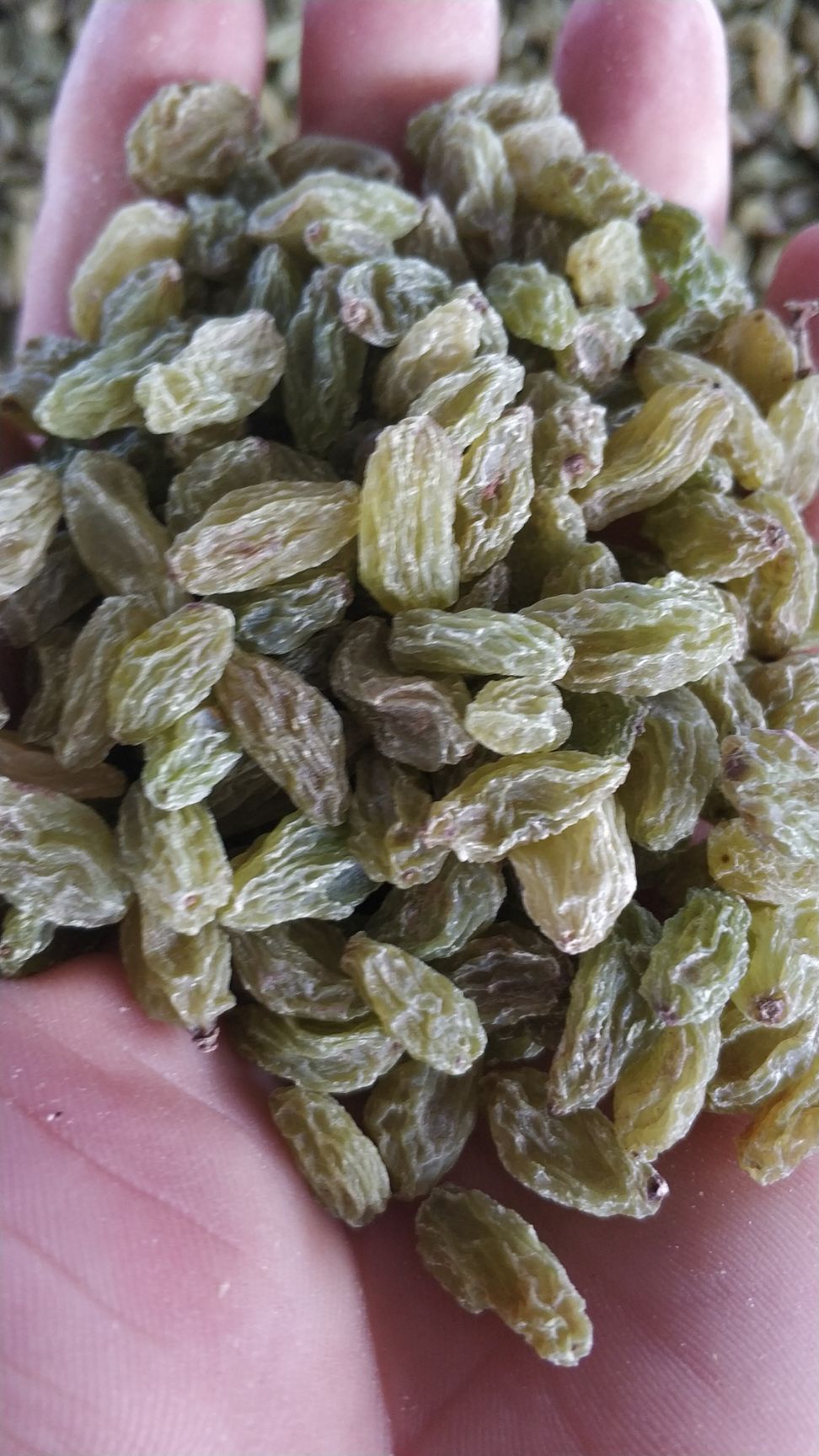 新疆绿葡萄干 一等 
