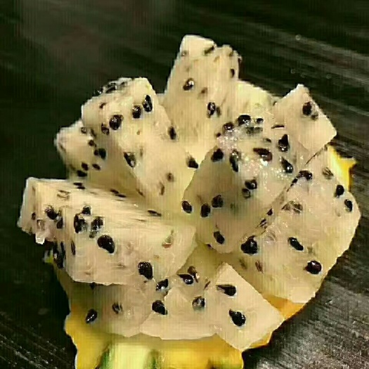 灵山县燕窝火龙果苗  燕窝火龙果，新产品。带根发货