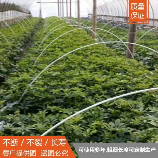 苏州大棚杆
