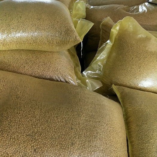 南昌县黄大豆 生大豆 1等品 