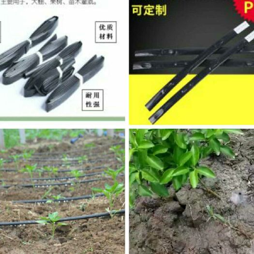 鄄城县贴片式滴灌带 
