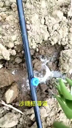 鄄城县果树滴灌pe分支管 
