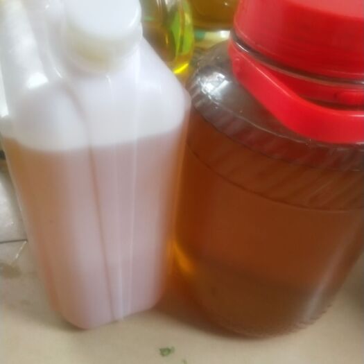 南宁野生山茶油 