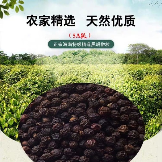 海口黑胡椒