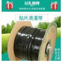 鄄城县贴片式滴灌带 