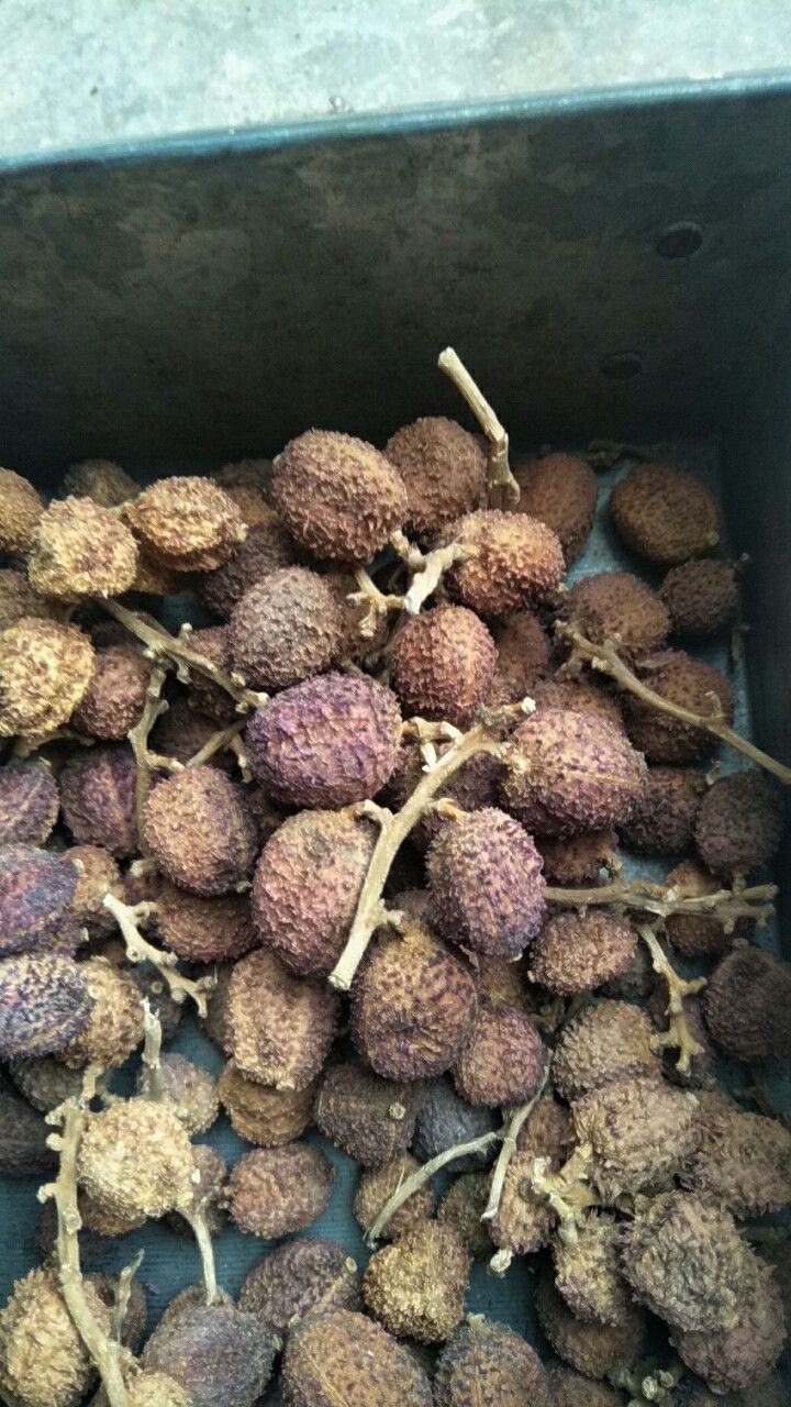 春砂仁 果靓正超便靓!