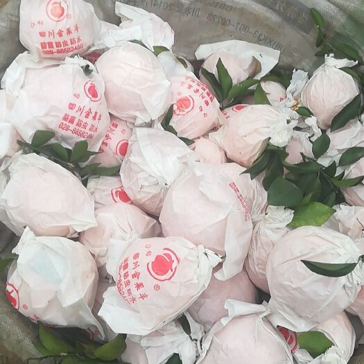 蒲江县耙耙柑 好甜哦