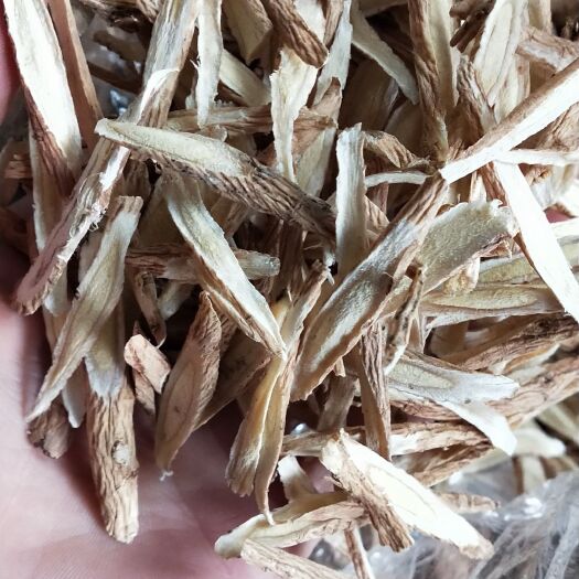 黄芪切片
