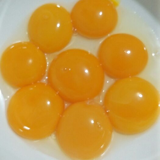 厦门土鸡蛋 食用 箱装 