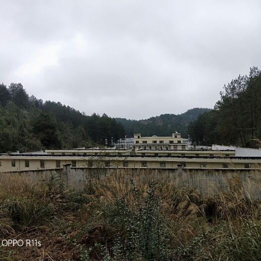 龙里县旱地 转让 50年以上 50亩以下 