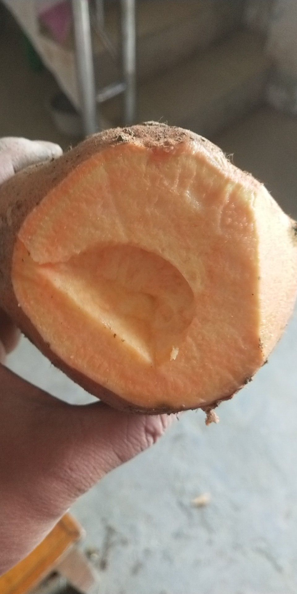 双皮黄 混装通货 黄皮 