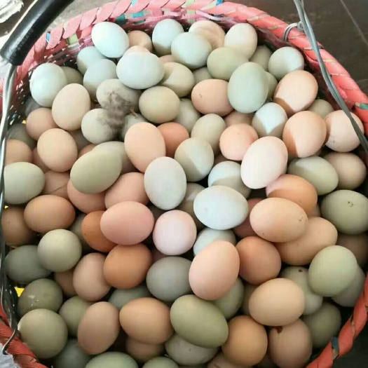 常德土鸡蛋 食用 箱装 