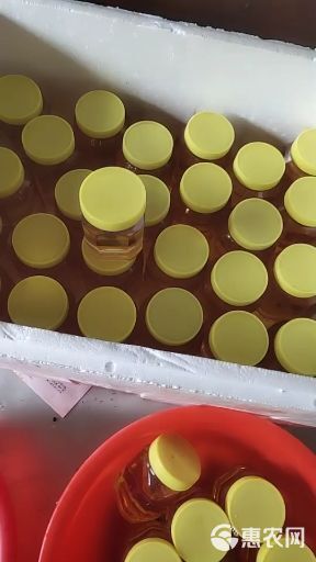洋槐蜂蜜  2年以上 塑料瓶装   农民自产自销货真价实