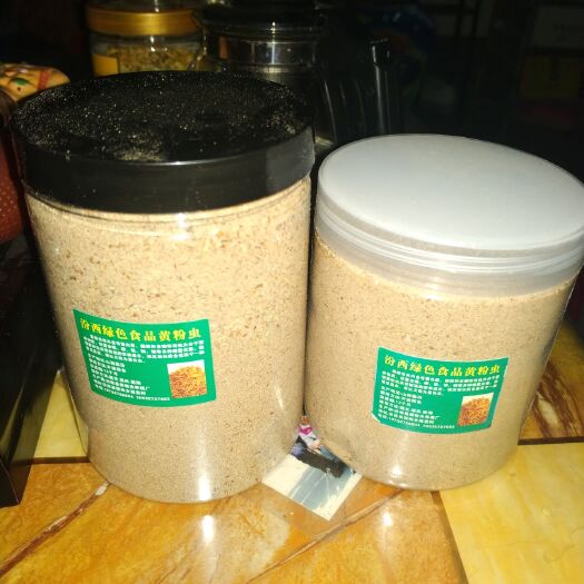 汾西县黄粉虫 
