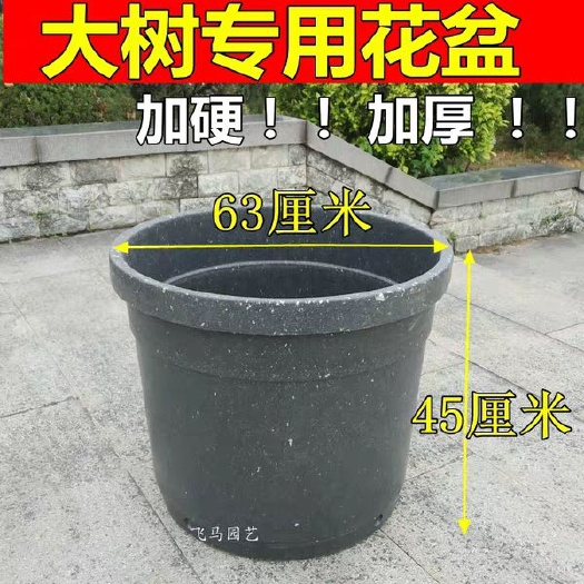 佛山 大树花盆 控制器 盆栽植物花盆容器