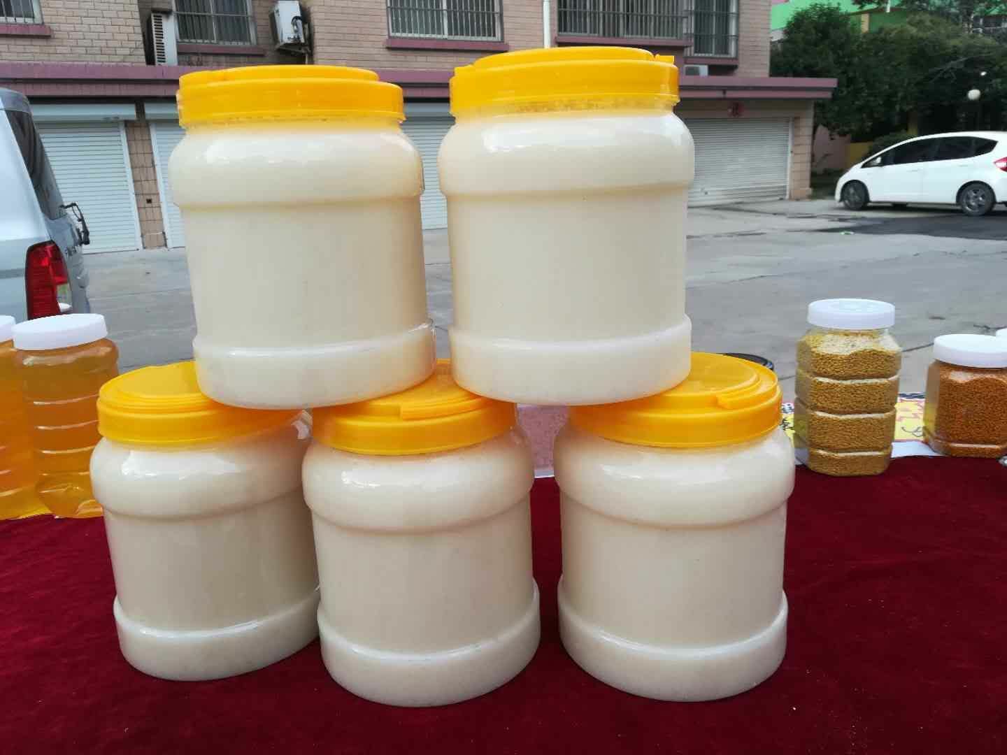 椴树蜜 塑料瓶装 1年  