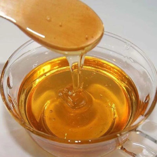 靖宇县【假一罚十】天然正宗纯野深山椴树蜜椴树蜜土蜂蜜自产自销