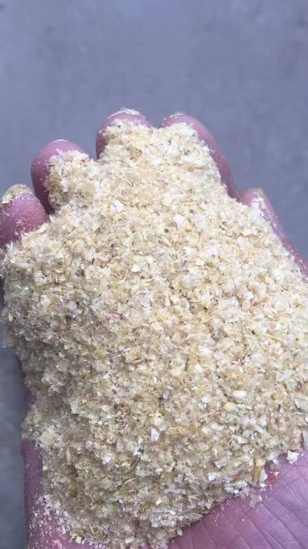 巨鹿县玉米皮粉  碎白皮禽料，鸡鸭料，牛羊料猪料