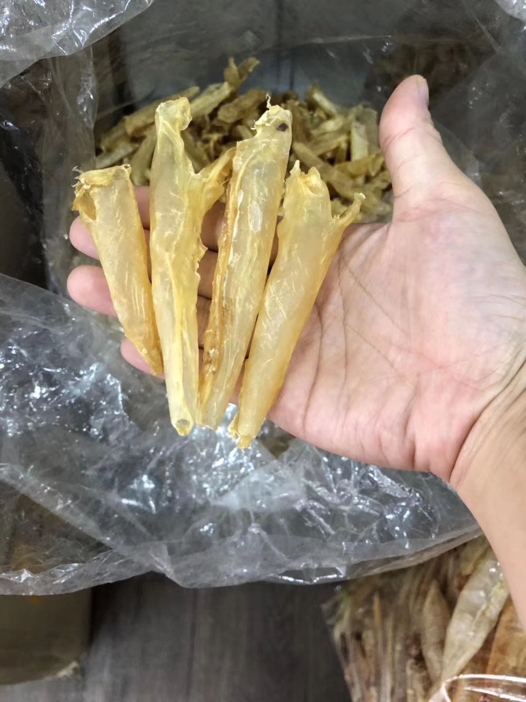 鱼胶