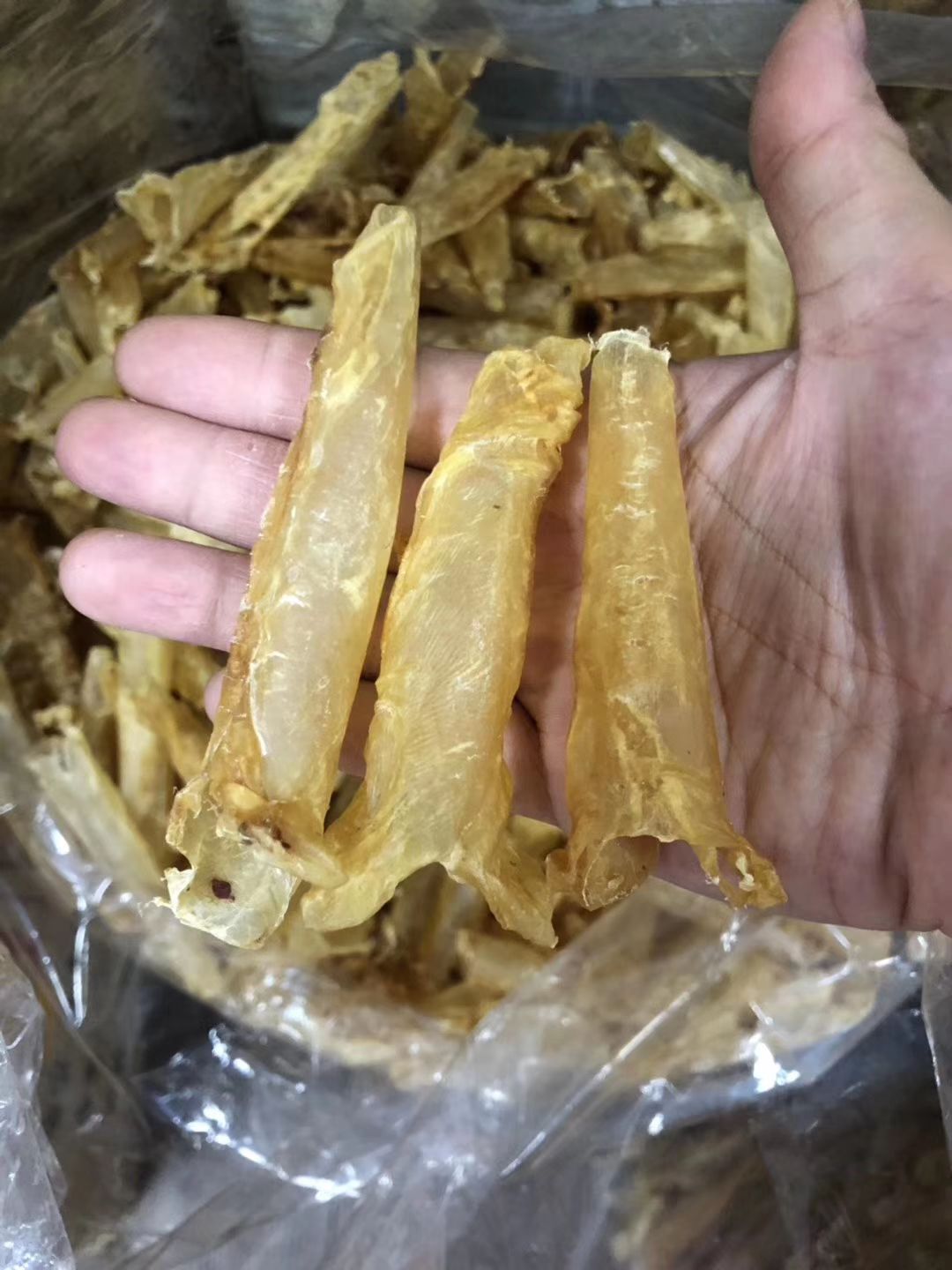 鱼胶