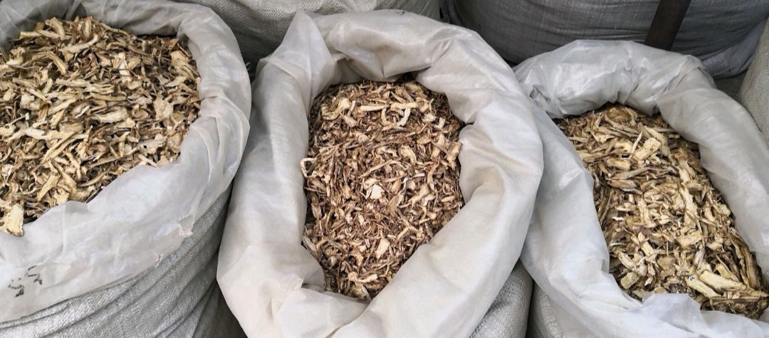 岷当归  全归片 农家晾晒 无硫熏天然干货