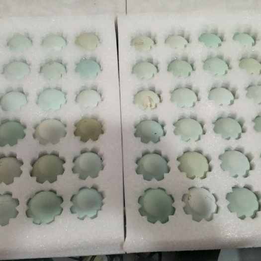 重庆市绿壳鸡蛋 食用 箱装 