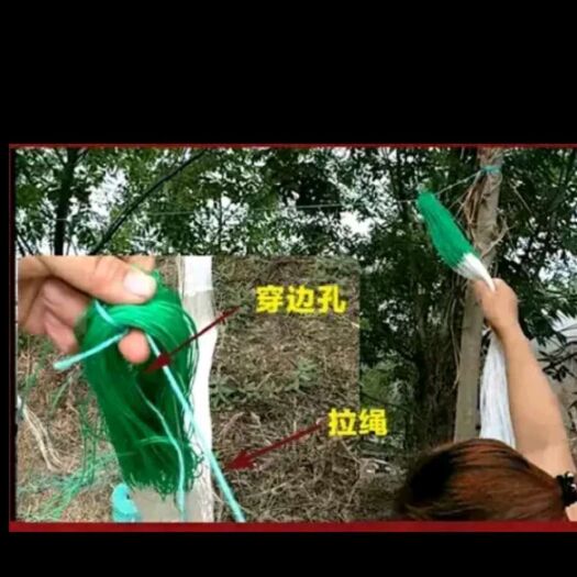 庆云县 厂家直销爬藤网植物网豆角网山药网