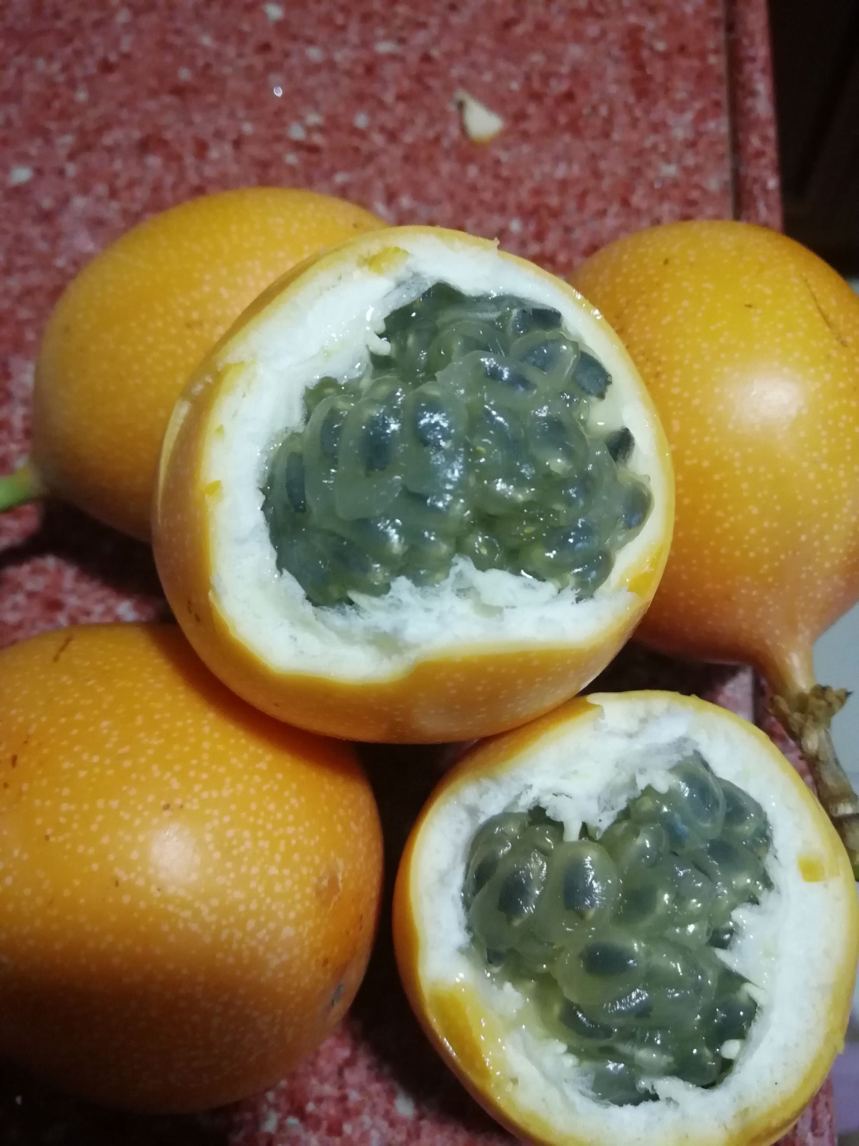 哥伦比亚百香果苗 