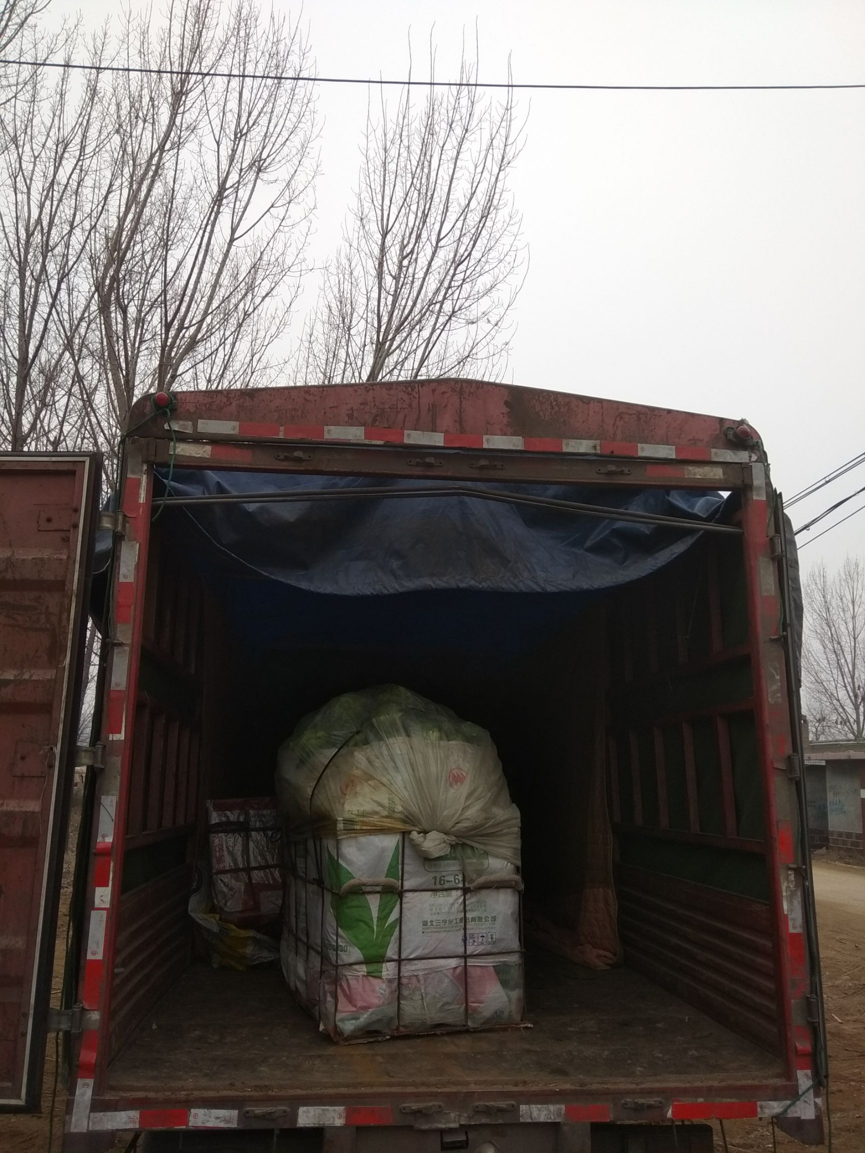 绿甘蓝 2.0~2.5斤