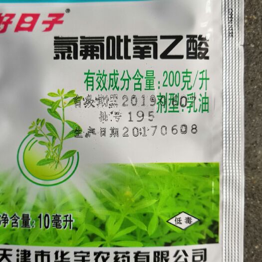 寿光市 氯氟吡氧乙酸，阔叶杂草除草剂。