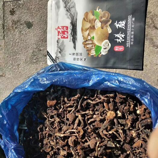 奉节榛蘑 野生 干货 