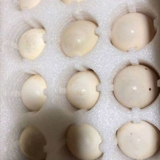 重庆市土鸡蛋 食用 箱装 